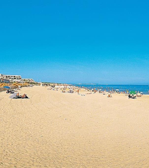 Confortable Appartement Grande Terrasse Piscine Parking Clim Agde Zewnętrze zdjęcie